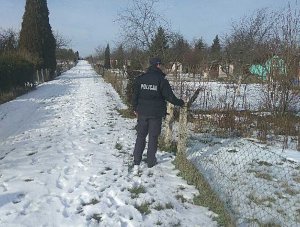 teren ogródków działkowych, policjant stoi przy ogrodzeniu, na ziemi śnieg