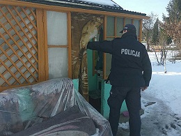 Policjant sprawdzający altanki na ogródkach działkowych