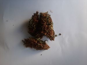 Susz roślinny koloru brunatno-zielonego