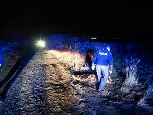 noc, droga gruntowa oświetlona światłami radiowozu, policjant stoi obok osoby przykrytej kocem termicznym