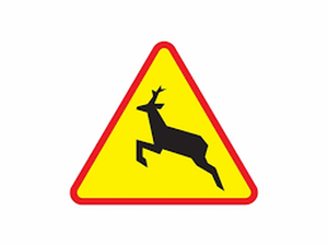 znak drogowy w kształcie trójkąta przedstawiający dzikie zwierzę koloru czarnego na żółtym tle w czerwonej ramie