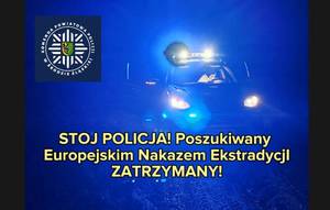 KOLEJNI POSZUKIWANI W RĘKACH ŚREDZKICH POLICJANTÓW