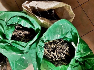Dzięki skutecznym działaniom średzkich kryminalnych, ponad 7 kilogramów narkotyków nie trafi na rynek…