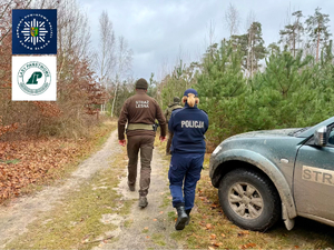 Wspólne działania funkcjonariuszy Policji oraz Straży Leśnej w ramach akcji „Choinka”