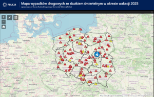 Kręci mnie bezpieczeństwo w lecie – mapa wypadków drogowych ze skutkiem śmiertelnym w okresie wakacji