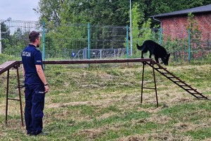 Zostań przewodnikiem psa służbowego w dolnośląskiej Policji