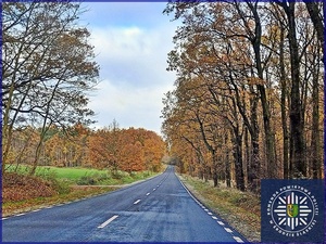 Widoczny znaczy bezpieczny - Jesień przypomina o światłach