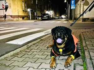 Jesienne wieczory? Odblask obowiązkowy!