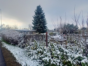Jak chronić mienie na działkach i w garażach – poradnik na sezon jesienno-zimowy