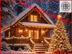 Uwaga na fałszywe oferty świąteczne i sylwestrowe! Policja ostrzega przed oszustwami przy wynajmie noclegów